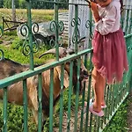 ファームステイ Nowy Krakow Jeżyce