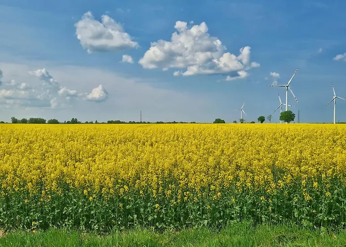 Agroturismo Nowy Kraków
