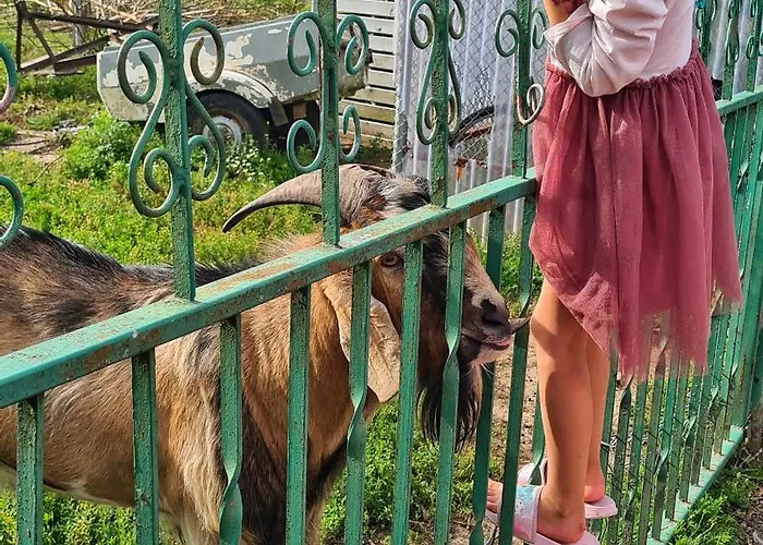 Agroturismo Nowy Kraków Jezyce