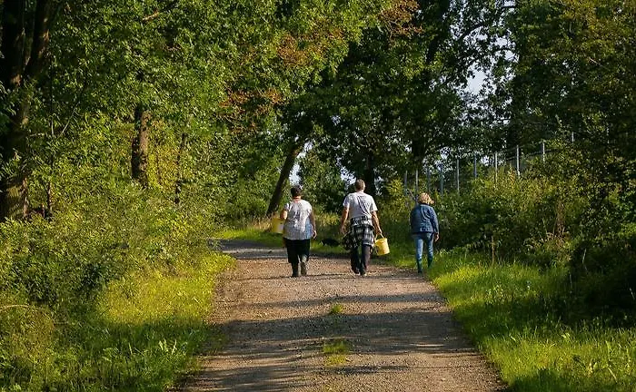 Agroturismo Nowy Kraków *